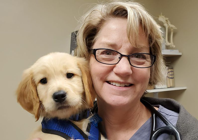 sanford veterinary clinic